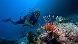 Kuredu Island - Maldives. Dive Centre. Diver with lionfish.